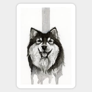 Finnish Lapphund Sticker